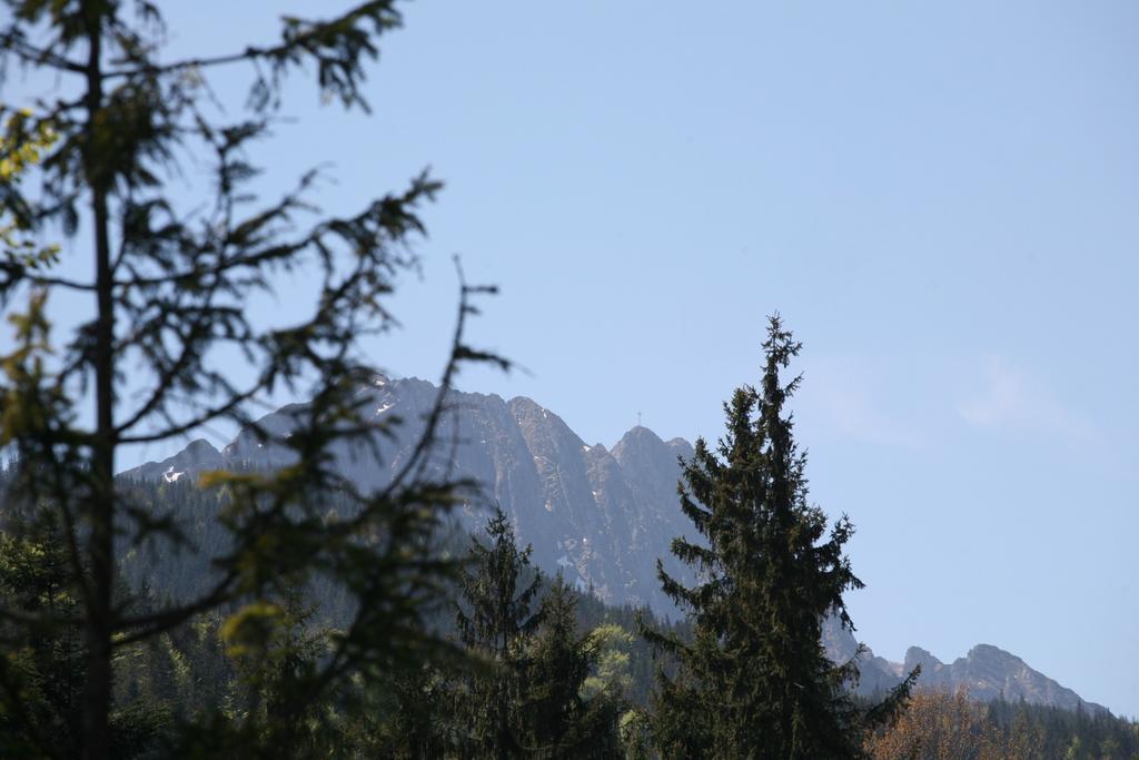 Apartament Glamour I Zakopane Rom bilde